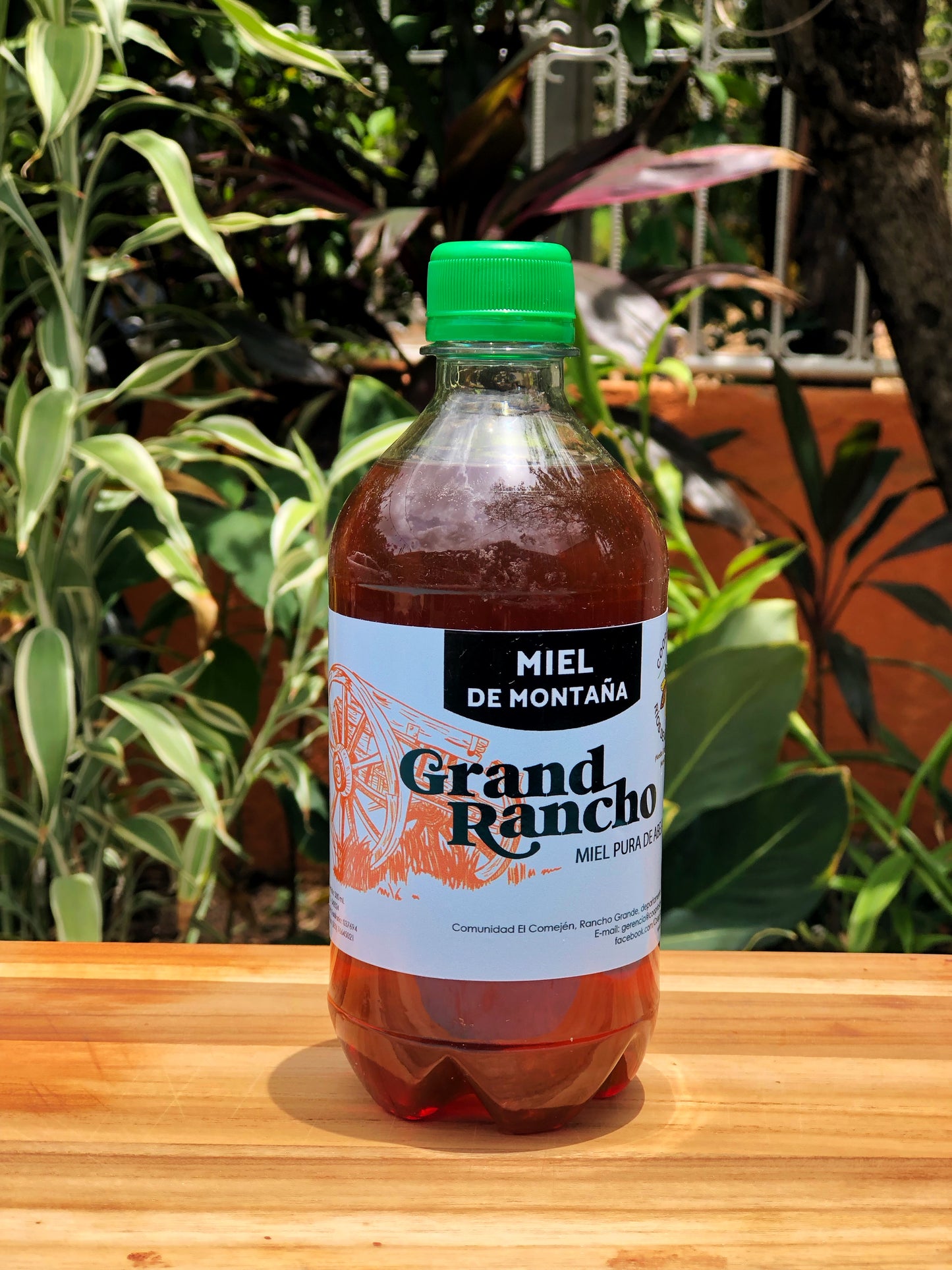 Miel de abeja pura