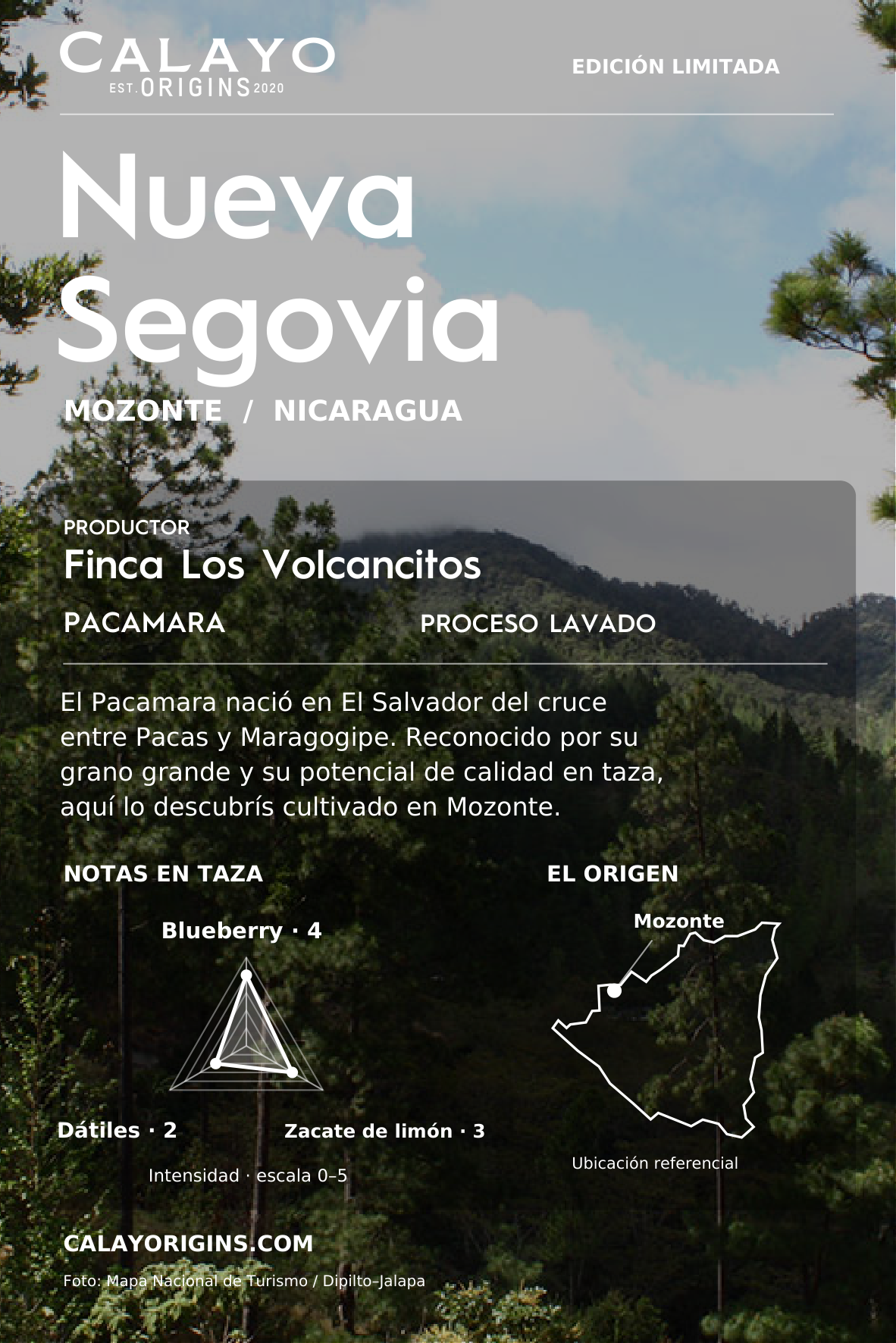 Café Nueva Segovia · Pacamara · Edición limitada | 340 g